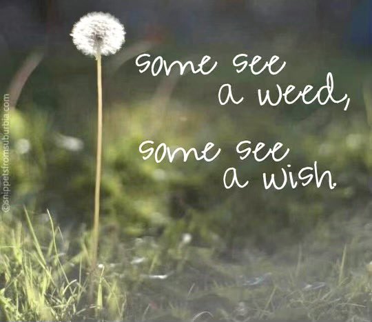 lauri favreau (@laurifav) on Twitter photo 