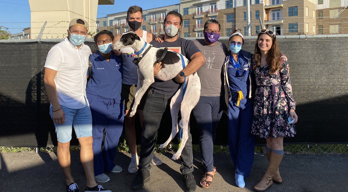UTSW_IMPsych's tweet photo. 🥳 like it’s a holiday #whyutsw #medpsych #fam #bffs https://t.co/wjhTFlM6A0