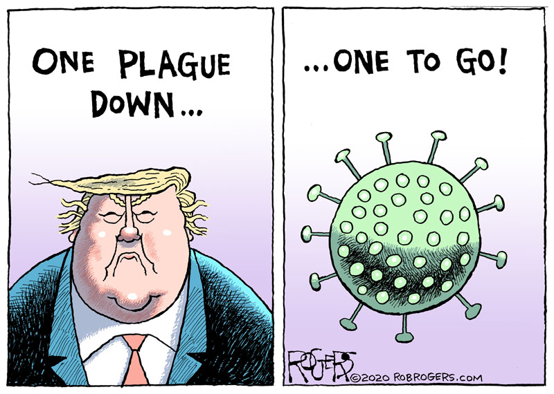 Something to celebrate: robrogers.com/2020/11/07/pla…  #BidenHarris2020 #Trump #Election2020 #CoronavirusPandemic