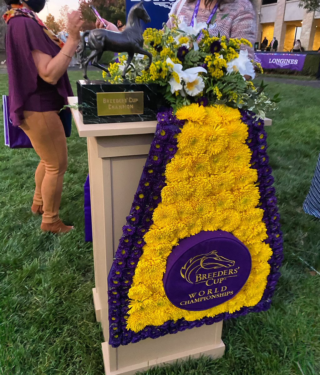 MyRacehorse's tweet photo. OURS!!!! 🙌🙌🙌

#MyAuthenticBC #MyRacehorse #BC20 https://t.co/98rsFoyP5L