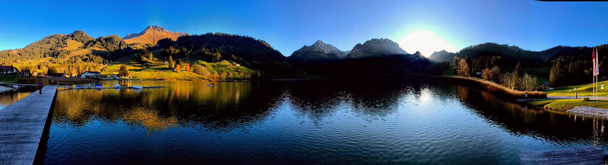 hoschibern's tweet image. 