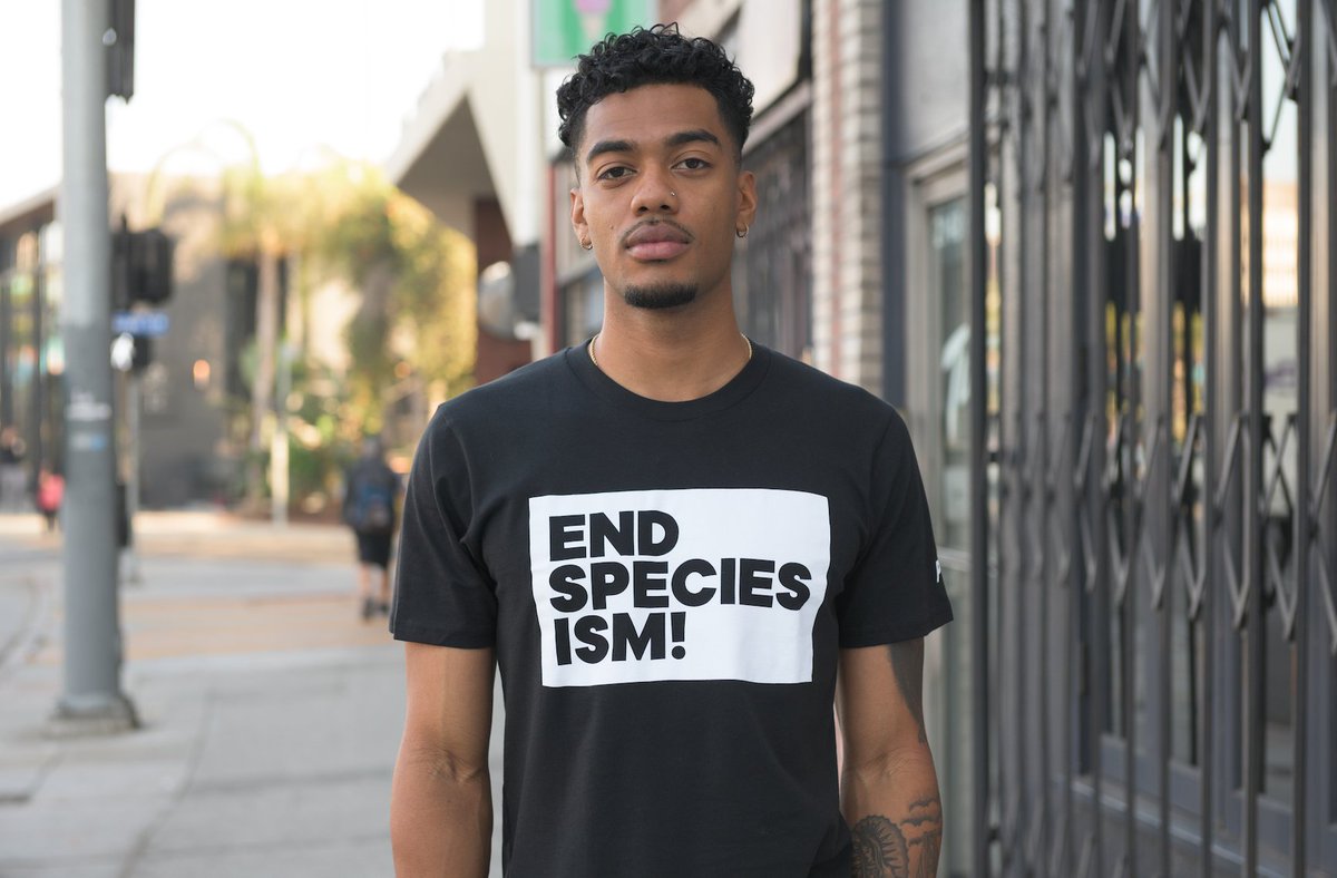peta tweet picture