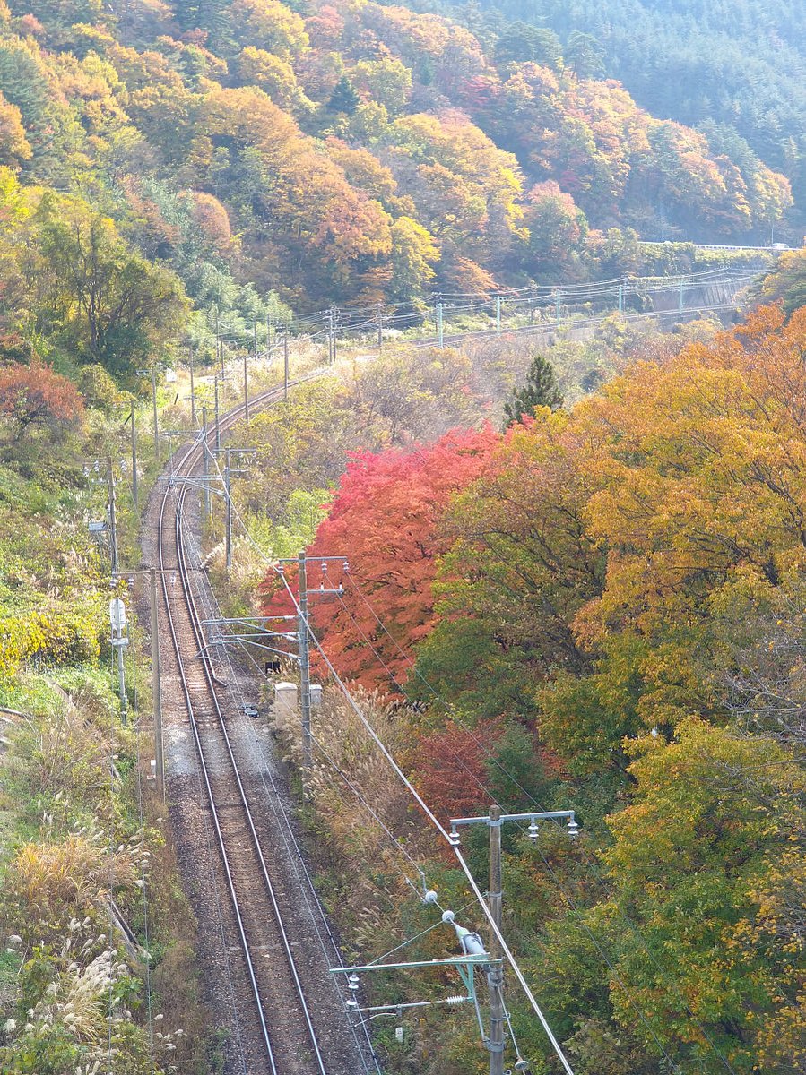 Kenny 紅葉 が最盛期のみなかみ町 諏訪峡 お昼頃にslぐんまみなかみが駆け抜けます 撮り鉄 Kenny 紅葉 が最盛期のみなかみ町 諏訪峡 お昼頃にslぐんまみなかみが駆け抜けます 撮り鉄