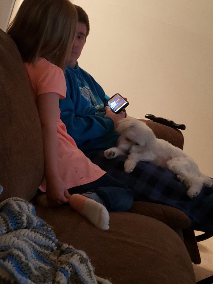 rbaudendistel's tweet photo. She's not asleep... she's watching The first female Vice President- elect talking. #thefirstbutnotthelast #girlsgotthis #whatceiling
The dog... he's asleep... https://t.co/4WvRFPgpOA