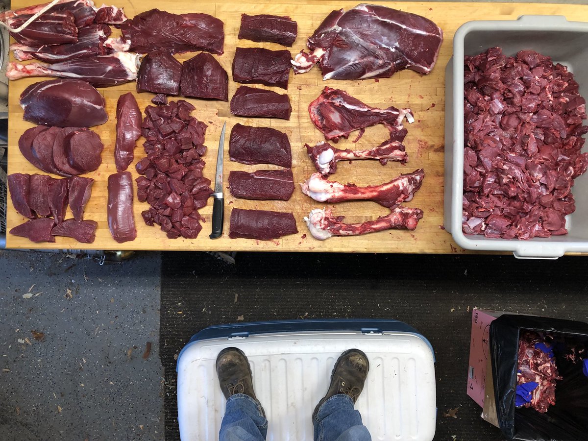 derricobbq's tweet photo. I’d say it turned out pretty good considering it was my first time butchering a deer! #nevertooldtolearn #venison #huntingseason https://t.co/1DuygG9gU6