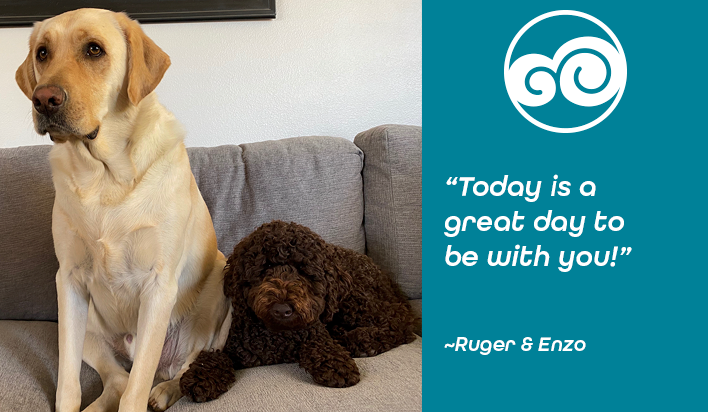DoodCrew's tweet photo. "Hangin' with my buddy Ruger" ~Enzo
#doodcrew #dog #dogs #pets #petstagram #bestfriends #bestdog #dogsoftwitter #pawsup  #happy #smile #labrador #Labradoodle https://t.co/H92CQXibqm
