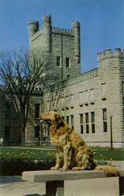 EIU New Student & Family Programs tweet media