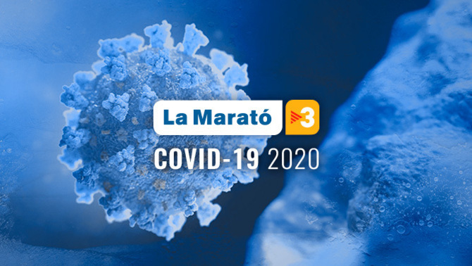Retromaniacs_es's tweet photo. EL SABADO QUE VIENE LLEGA EL PRIMER TORNEO DE LA LIGA RETRO CONTRA EL #COVID__19 @la_marato @Thenextbattle

Por favor AYUDARNOS Y COMPARTIR ¡Qué no se diga que los #gamer no somos solidarios!

14-11 PUZZLE BOBBLE 4
21-11 BOMBER MAN 4
28-11 STREET FIGHTER 2X

¡Cartel con Sponsors! https://t.co/zvDphHU171