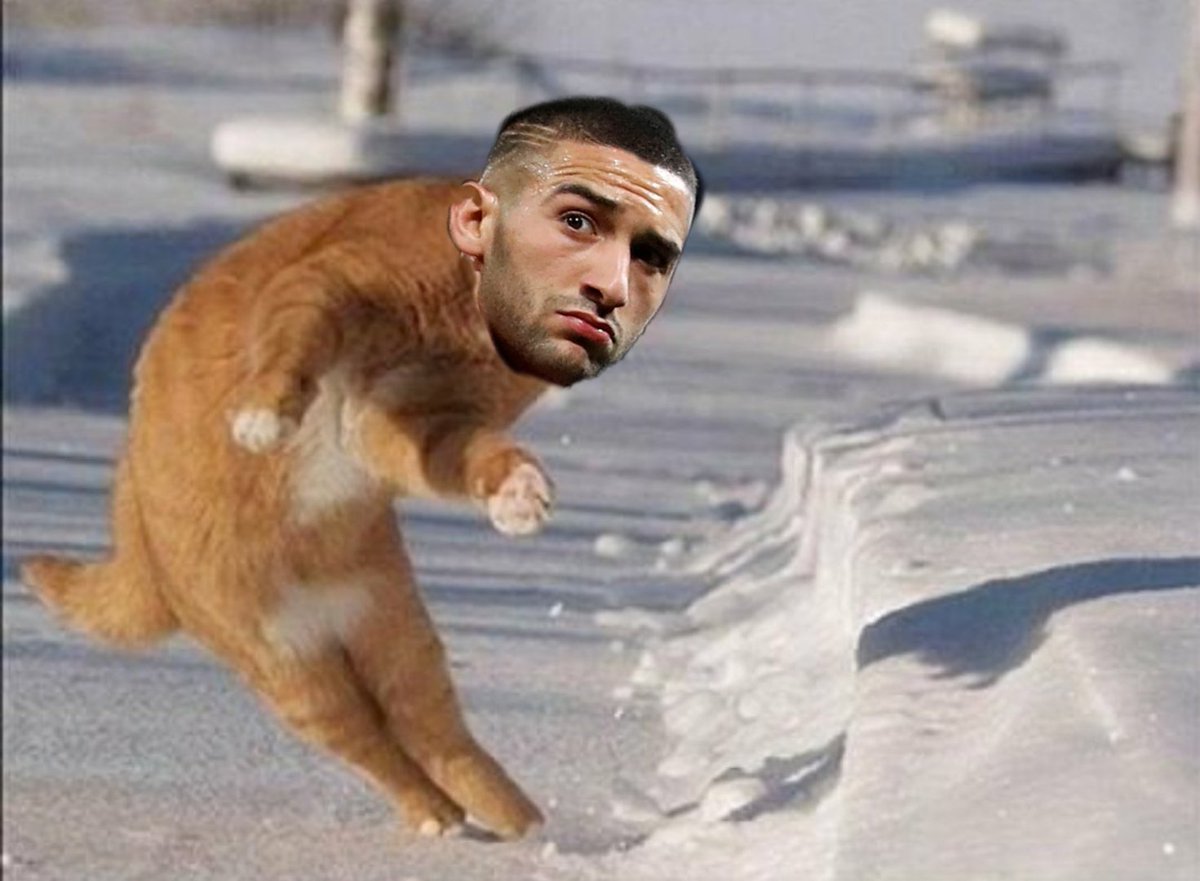 CarefreeLewisG's tweet photo. Hakim Ziyech when he sees someone making a run https://t.co/EGWZIzk0Nd