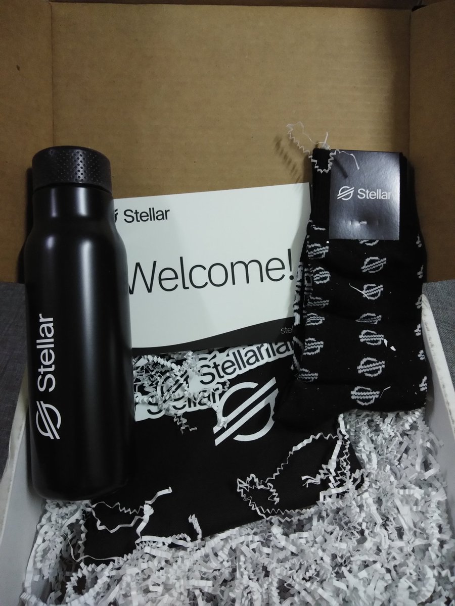 Thanks <a href="/StellarOrg/">Stellar</a> . This is my early #Christmas2020 #gift . #Meridian2020 #levelg #gwallet #decentralized #crossborderpayments