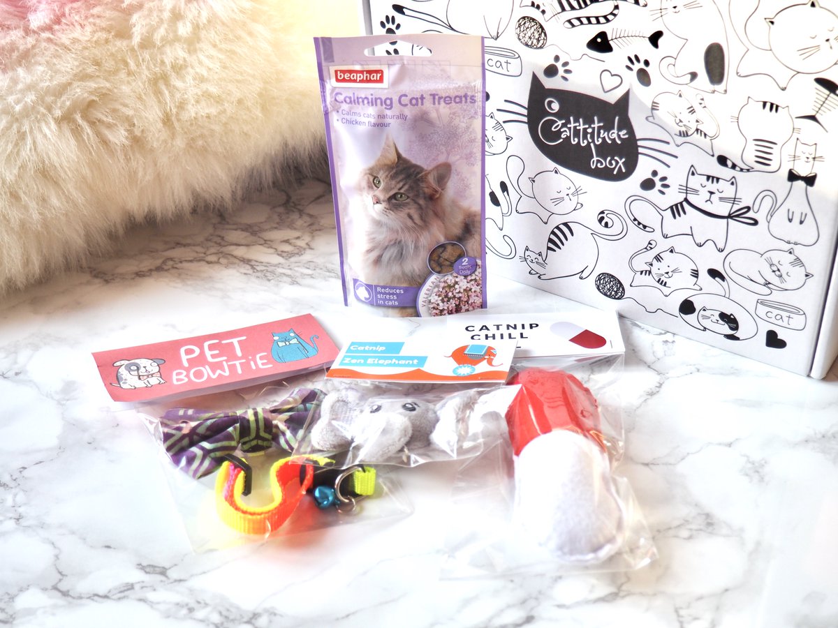 bellamomentoX's tweet photo. (AD-Gifted) Cattitude Box - The purrfect subscription box for every cat mama! ❤️🐱
https://t.co/dCudvmuOJ0
#bbloggers #lbloggers #cattitudebox #fbloggers #grlpowr #bloggerstribe #catmama #essexbloggers @GRLPOWRCHAT @wakeup_blog @BBlogRT https://t.co/62JFuHH1Xq