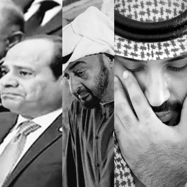 Najet61's tweet photo. يبكون على كفيلهم ترامب https://t.co/pyZoQus29W
