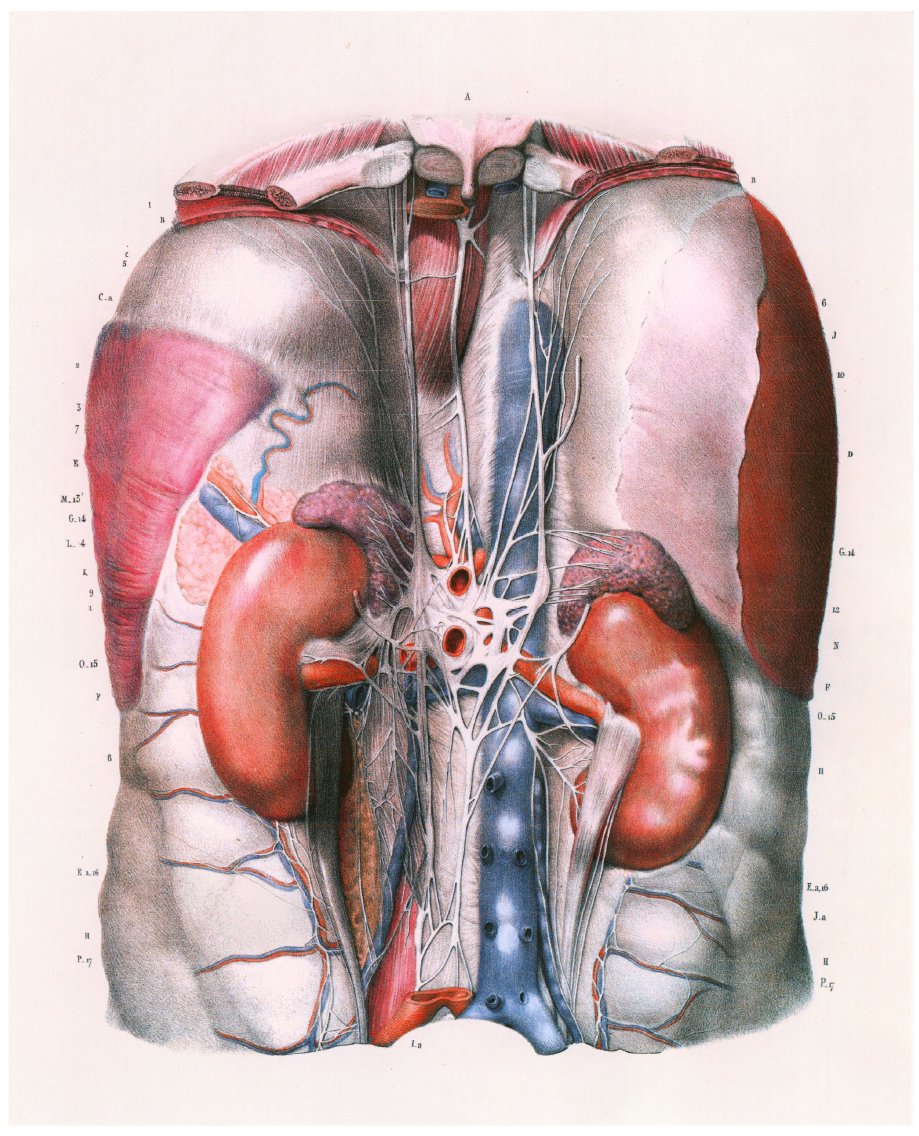 There are many vital differences between the inner universes of females, as compared to males.I urge learning all about the Hypothalamic-Pituitary-Adrenal Axis, glucocorticoids, pre- and postnatal early development, and differences in *stress response*. https://en.wikipedia.org/wiki/Hypothalamic%E2%80%93pituitary%E2%80%93adrenal_axis#Stress