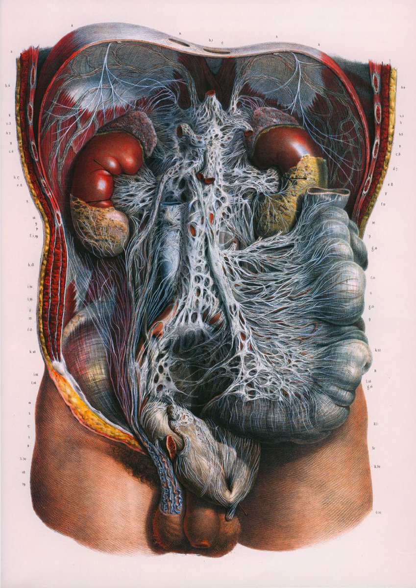 There are many vital differences between the inner universes of females, as compared to males.I urge learning all about the Hypothalamic-Pituitary-Adrenal Axis, glucocorticoids, pre- and postnatal early development, and differences in *stress response*. https://en.wikipedia.org/wiki/Hypothalamic%E2%80%93pituitary%E2%80%93adrenal_axis#Stress