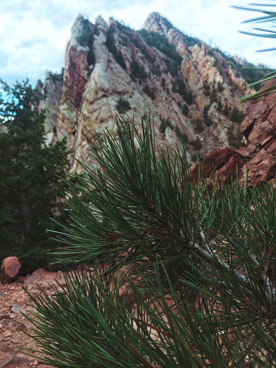 janae_champlin's tweet photo. move away so your friends drive 8 hours to come hike with you https://t.co/4GM0DzXBz0
