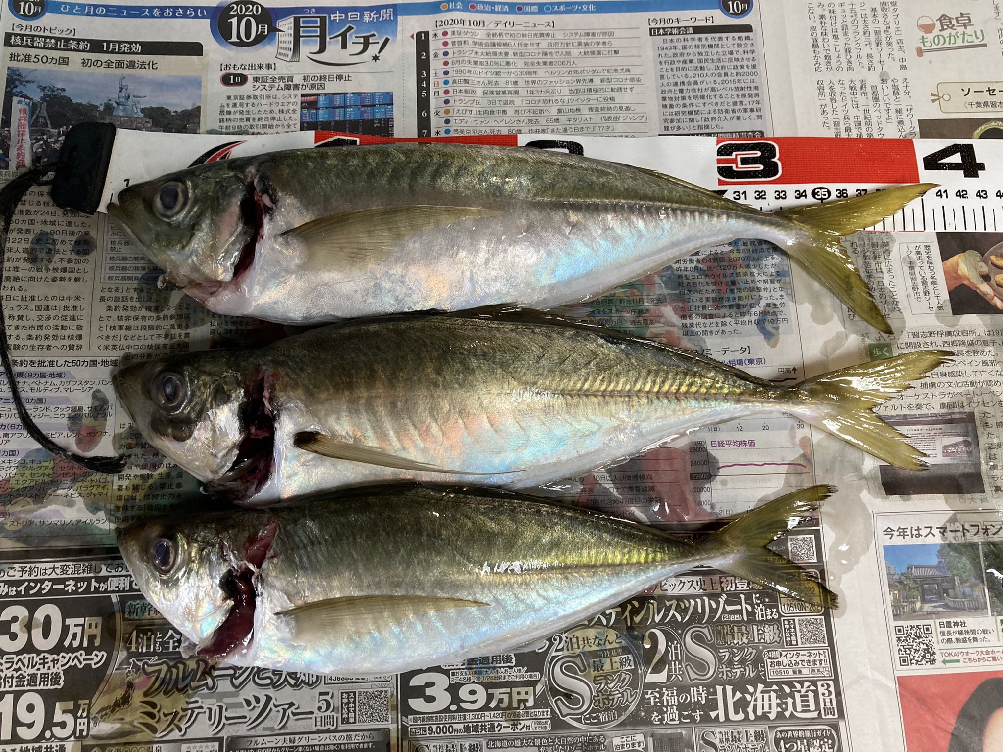 Bara 赤羽根から伊良湖 経由して浜名湖へ 赤羽根は沖に大アジがいます 久しぶりの浜名湖は雨でも大橋までたくさんの人 黒鯛は入れ食いです 水温度 小潮 赤羽根アジ開幕 ただ立ち入り禁止になるのが残念 T Co Oqdevx7dgf Twitter