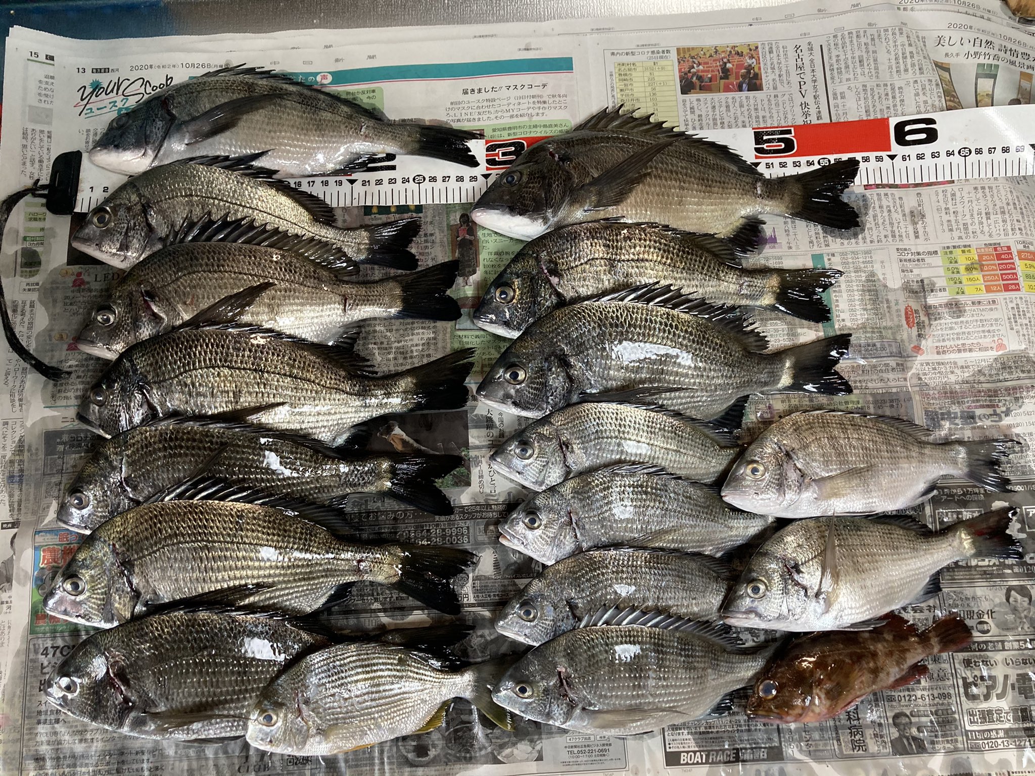 Bara 赤羽根から伊良湖 経由して浜名湖へ 赤羽根は沖に大アジがいます 久しぶりの浜名湖は雨でも大橋までたくさんの人 黒鯛は入れ食いです 水温度 小潮 赤羽根アジ開幕 ただ立ち入り禁止になるのが残念 T Co Oqdevx7dgf Twitter