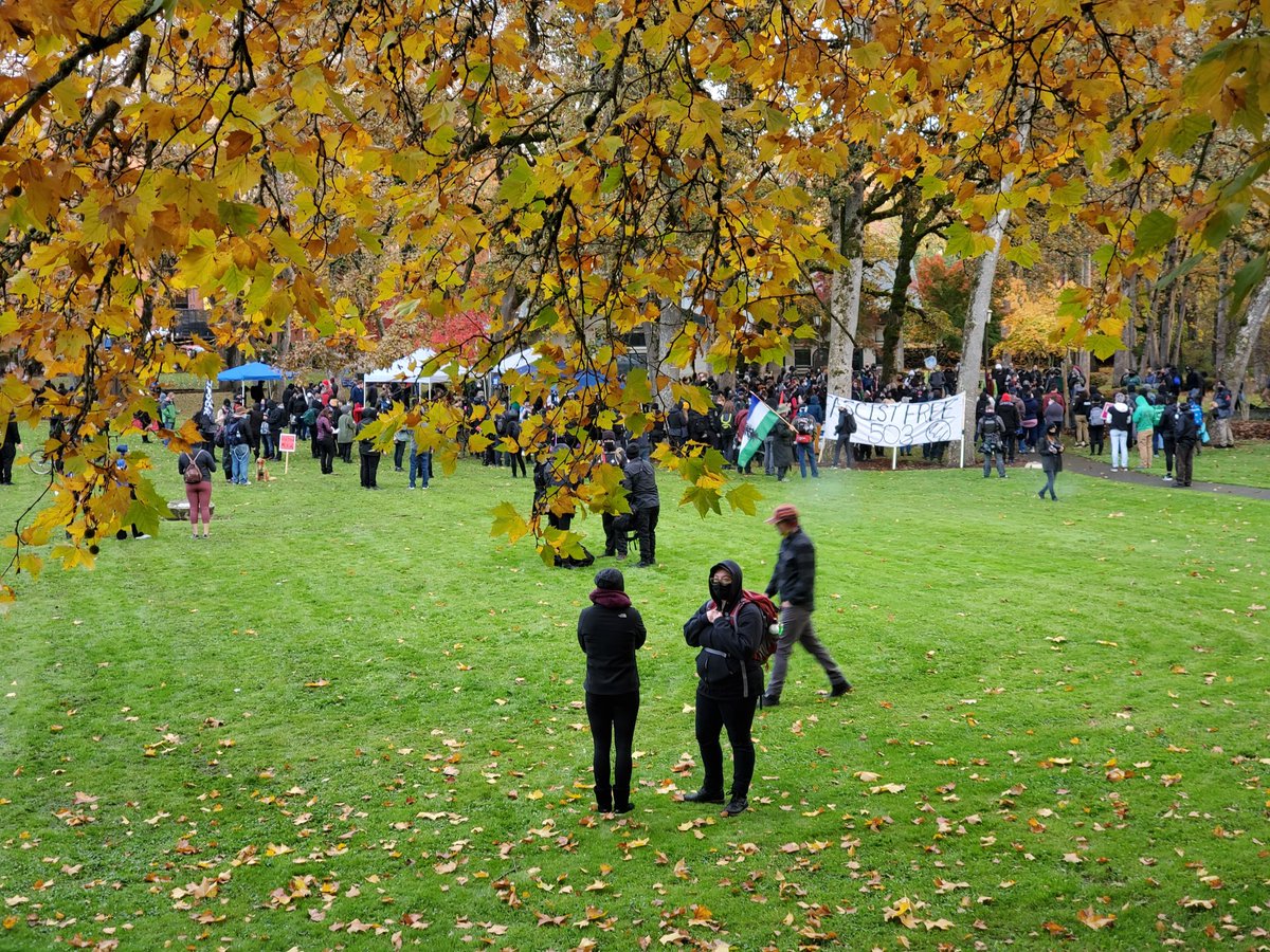 A wide shot of the gathering.