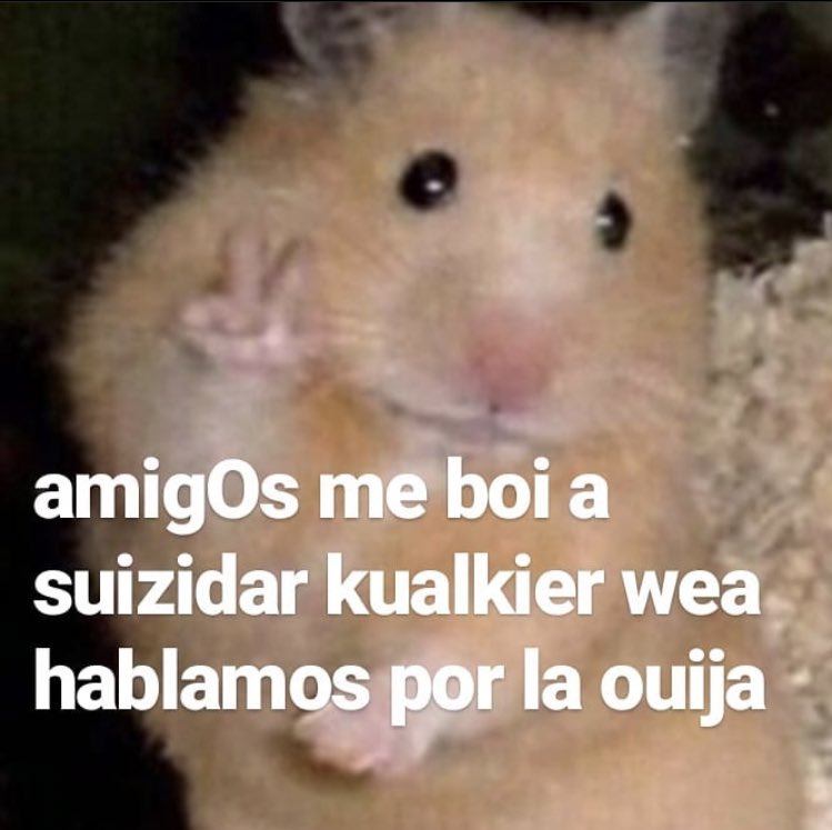 RandomAlejo12 tweet picture
