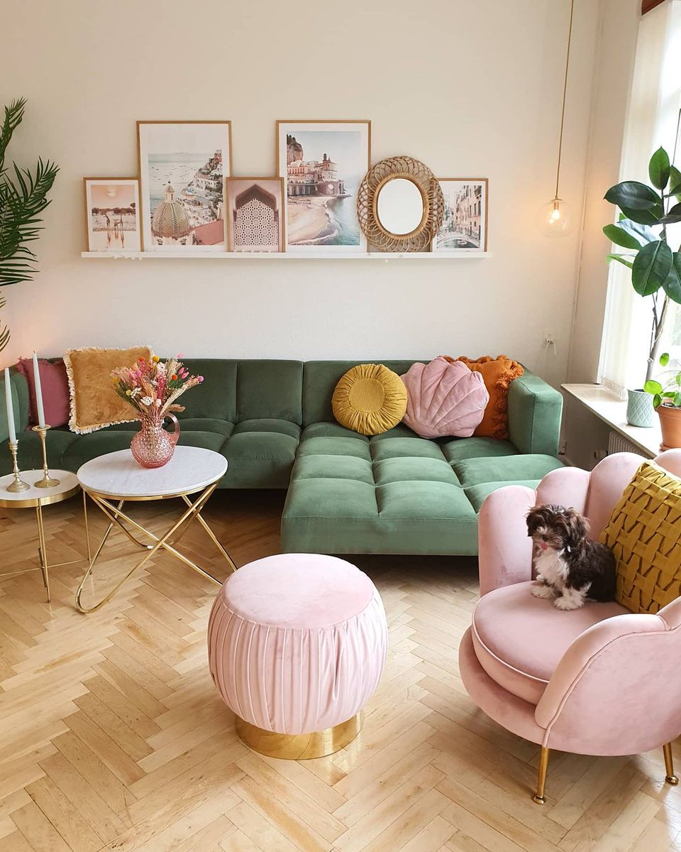 DesignsAnaMaria's tweet image. Who else has a furry friend that loves sitting on human furniture 😛🐕
📷: @mrscarlissa