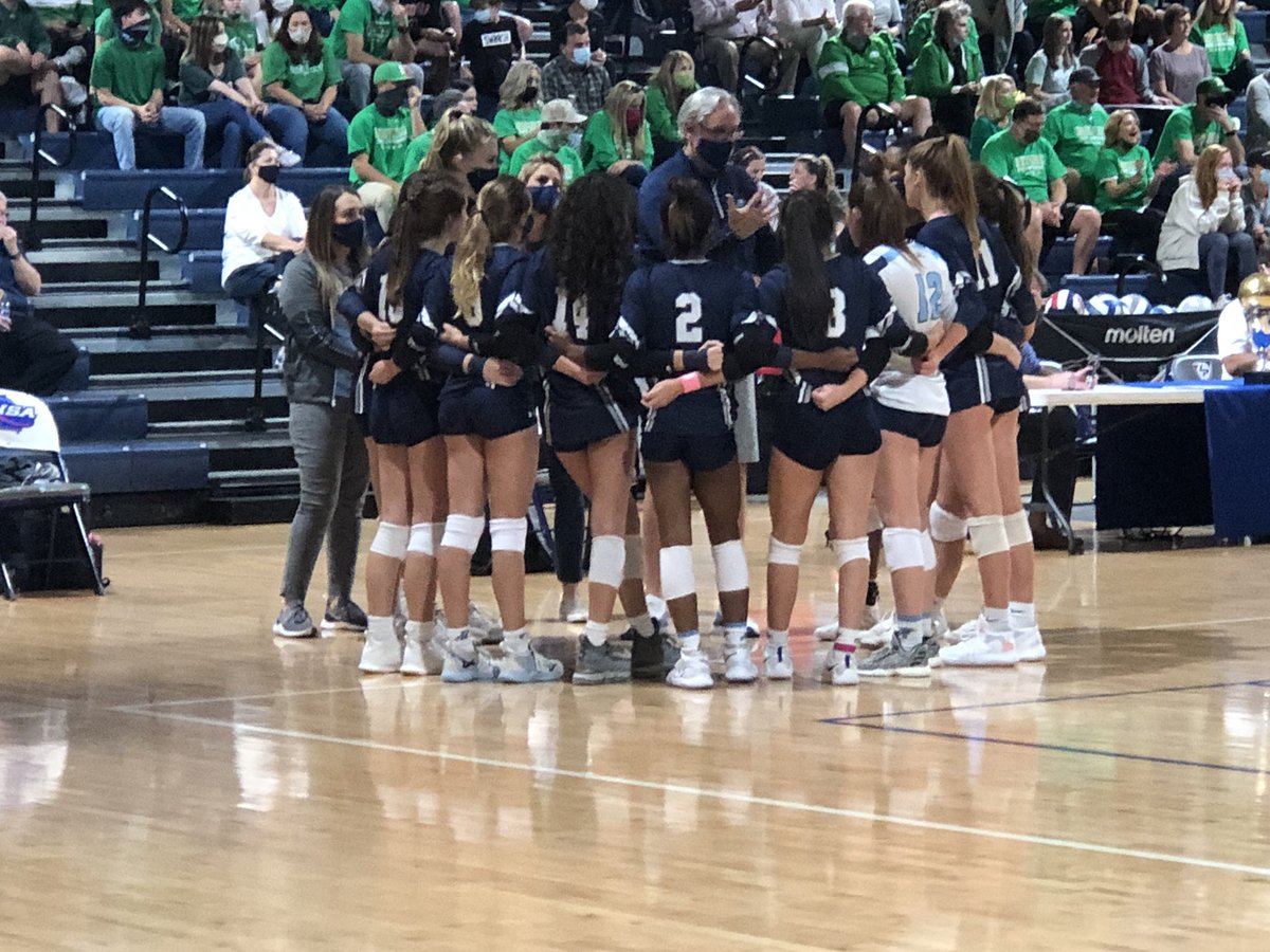 Pope Greyhounds tweet media