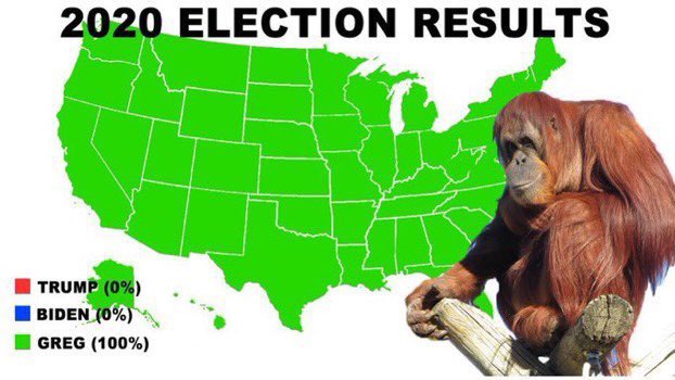 thezacinthehat's tweet image. 