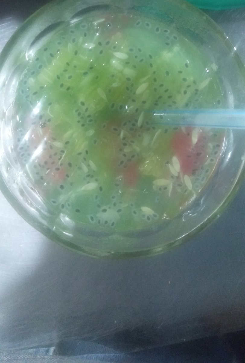 hendra88910's tweet photo. ada yg ad .... ada gak ha???? https://t.co/mBrA7d19ta