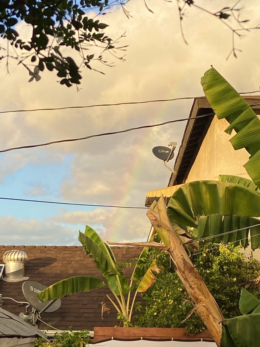 Can’t make this shit up🌈