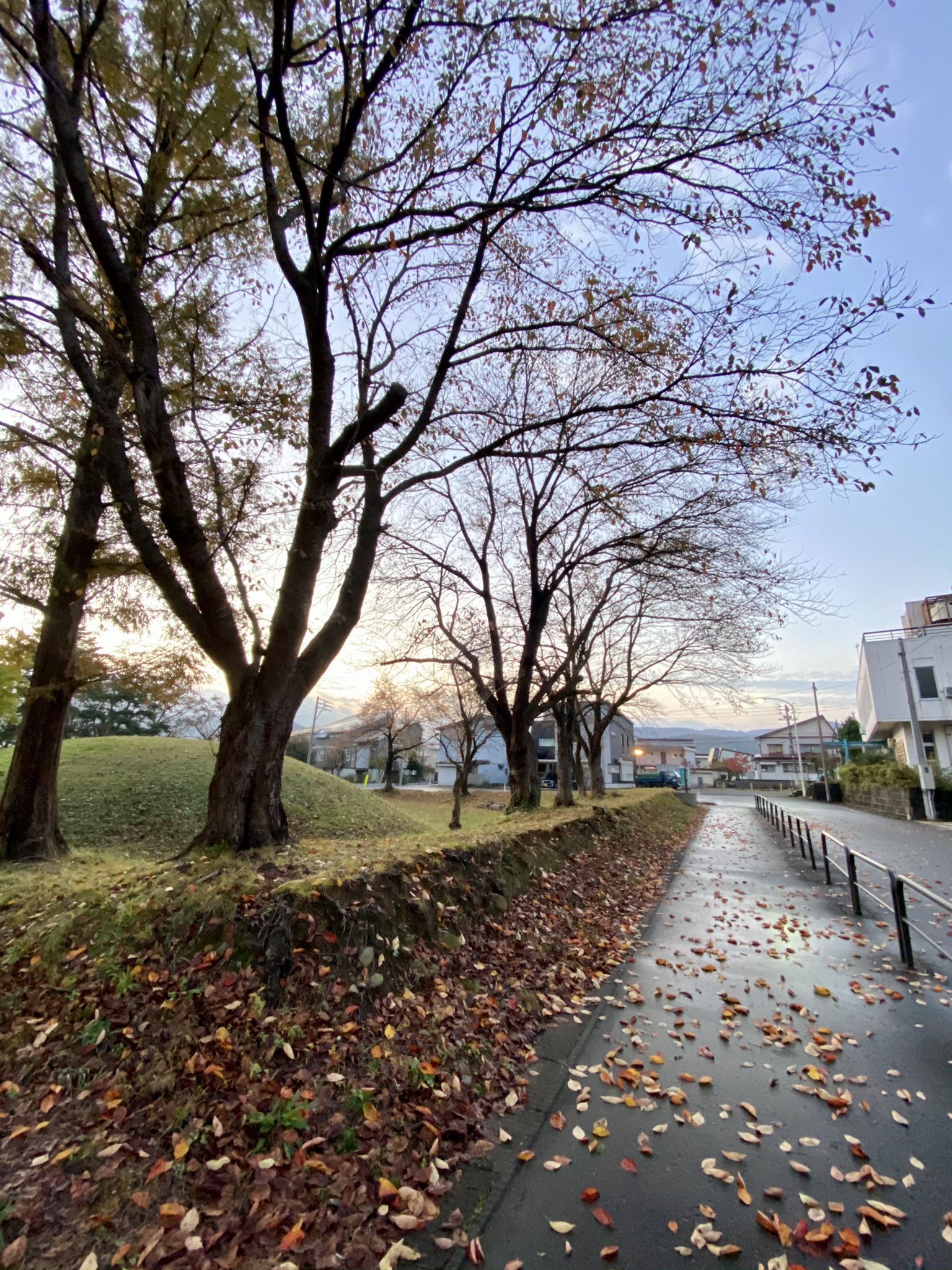 わっしー 今日も絶景を見ながら 落ち葉は美しい 健康が全てではないが 健康を失うと全てを失う よーし 今日も頑張るぞ 頑張れ日本 落ち葉 落ち葉アート 健康が全てではないが健康を失うと全てを失う アチーブメント