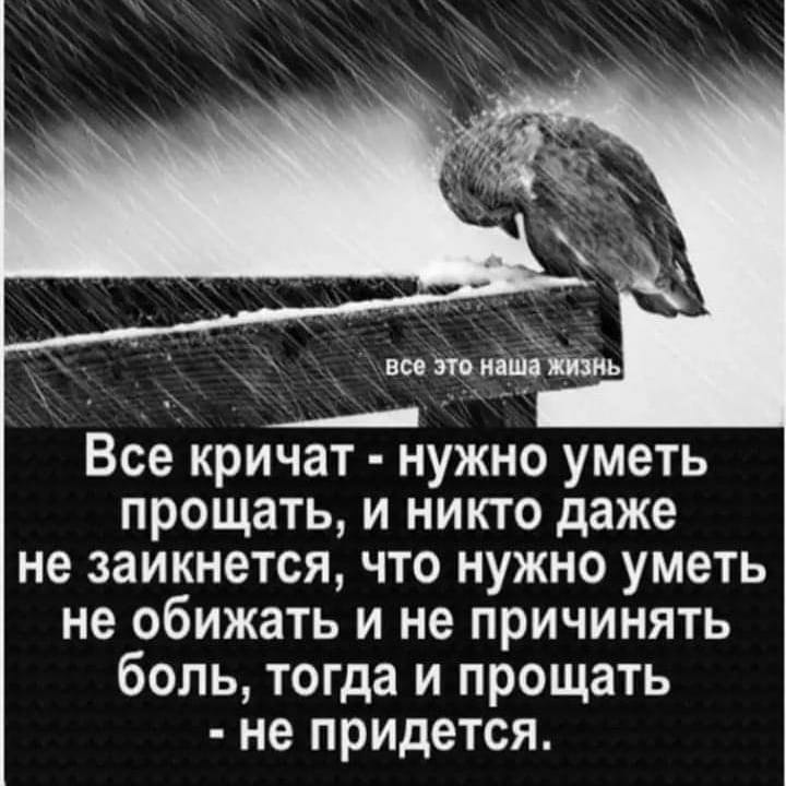 Irina (@irina39325788) on Twitter photo 