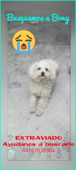 💞D∆¥∆π∆🌈🌠 tweet media