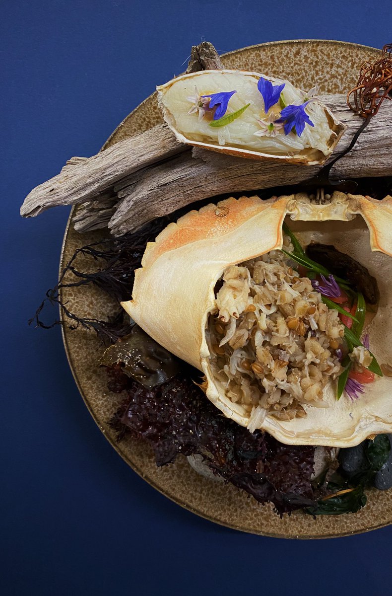 WillowsInn's tweet image. Our final #WillowsInnProjects of 2020! 

1) Walnut &amp;amp; hazelnut baklava w/ quince, pistachio-black pepper crunch by Mac Hyde.

2) Dungeness crab, grains, broth of crab &amp;amp; pinto tamari by John Miller. 

3) Smoked honey - nasturtium mead w/ de-salinize sea water, honey by TJ Bleau.