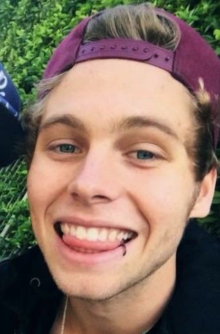 ✿ Luke Hemmings fetus as Luke Hemmings ; a thread ✿