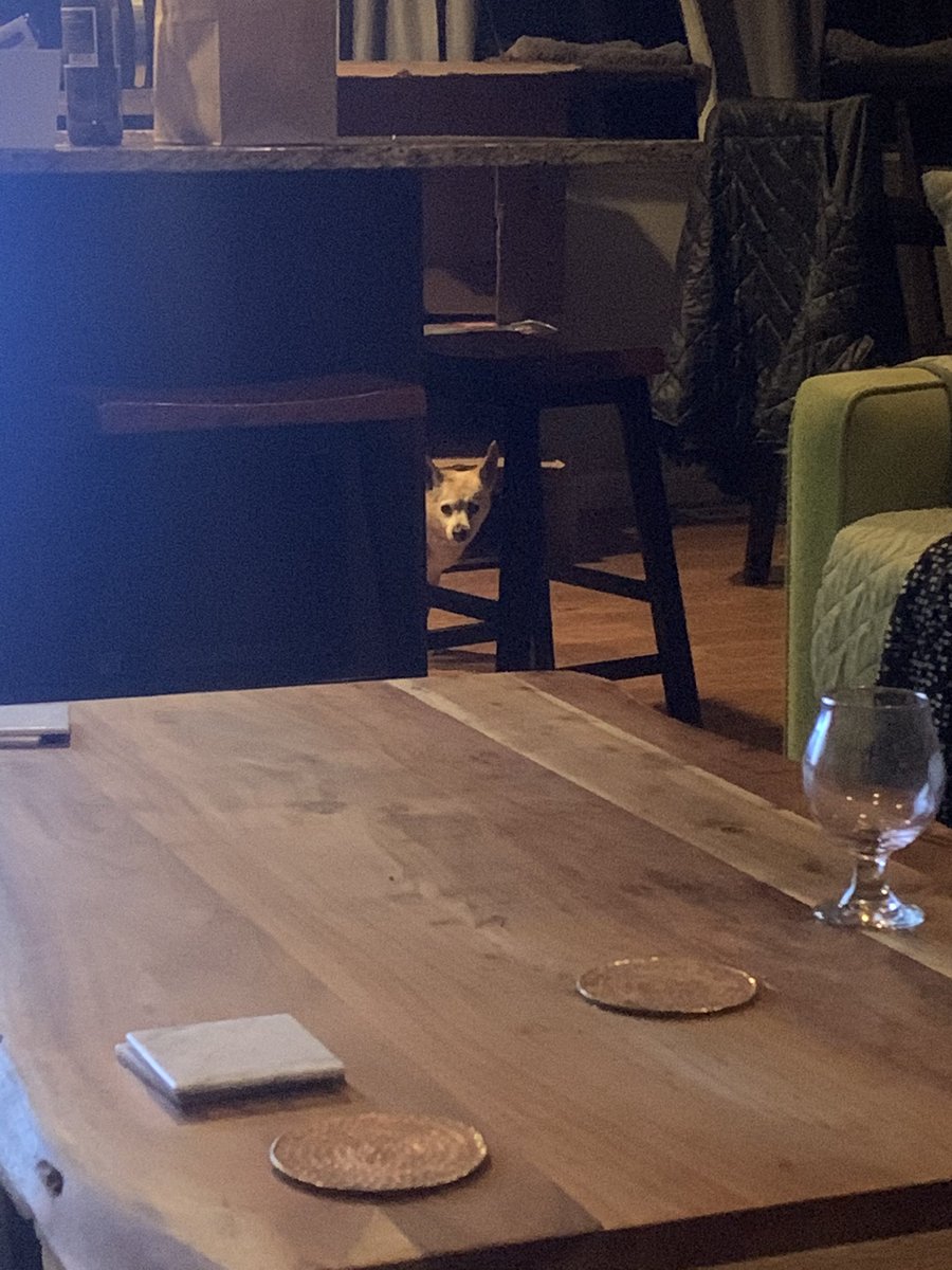 MattyTimbers's tweet image. I’m not sure what she wants but it kinda creeps me out a bit.