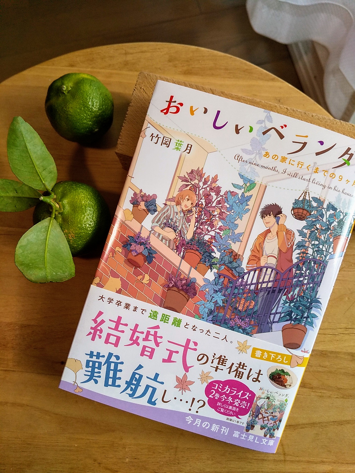 竹岡葉月 ベランダ10巻6月刊行 見本誌が来たー おいしいベランダ あの家に行くまでの9ヶ月 11月14日発売です T Co 3kjmtk1mnt 竹岡葉月 ベランダ10巻6月刊行 見本誌が来たー おいしいベランダ あの家に行くまでの9ヶ月 11月14日発売です T Co 3kjmtk1mnt