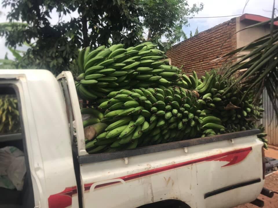 mukajuru's tweet photo. @YEAN_Rwanda @RwamaganaDistr @rajregis1 @ryaf_agribiz @DOTRwanda @MastercardFdn @RwandaAgri @FAORwanda @DLEC_COP @AGRAAlliance @g_mukeshimana Mukomezaho dushyigikirane muri uyu mwuga mureke tuwunoze utubyarire inyungu twitubakire igihugu https://t.co/BaG7R5ZfqK