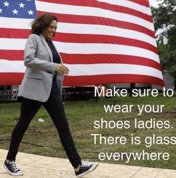 Madam Vice President #KamalaHarris 💙💪🏿💙💪🏾💙💪🏽💙💪🏼💙💪🏻💙