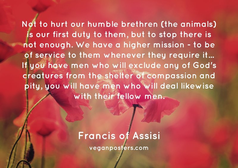 veganposters's tweet photo. Not to hurt our humble brethren (the animals) is our first duty to them, but to stop... - Francis of Assisi #vegan https://t.co/liRWS3Xr0f