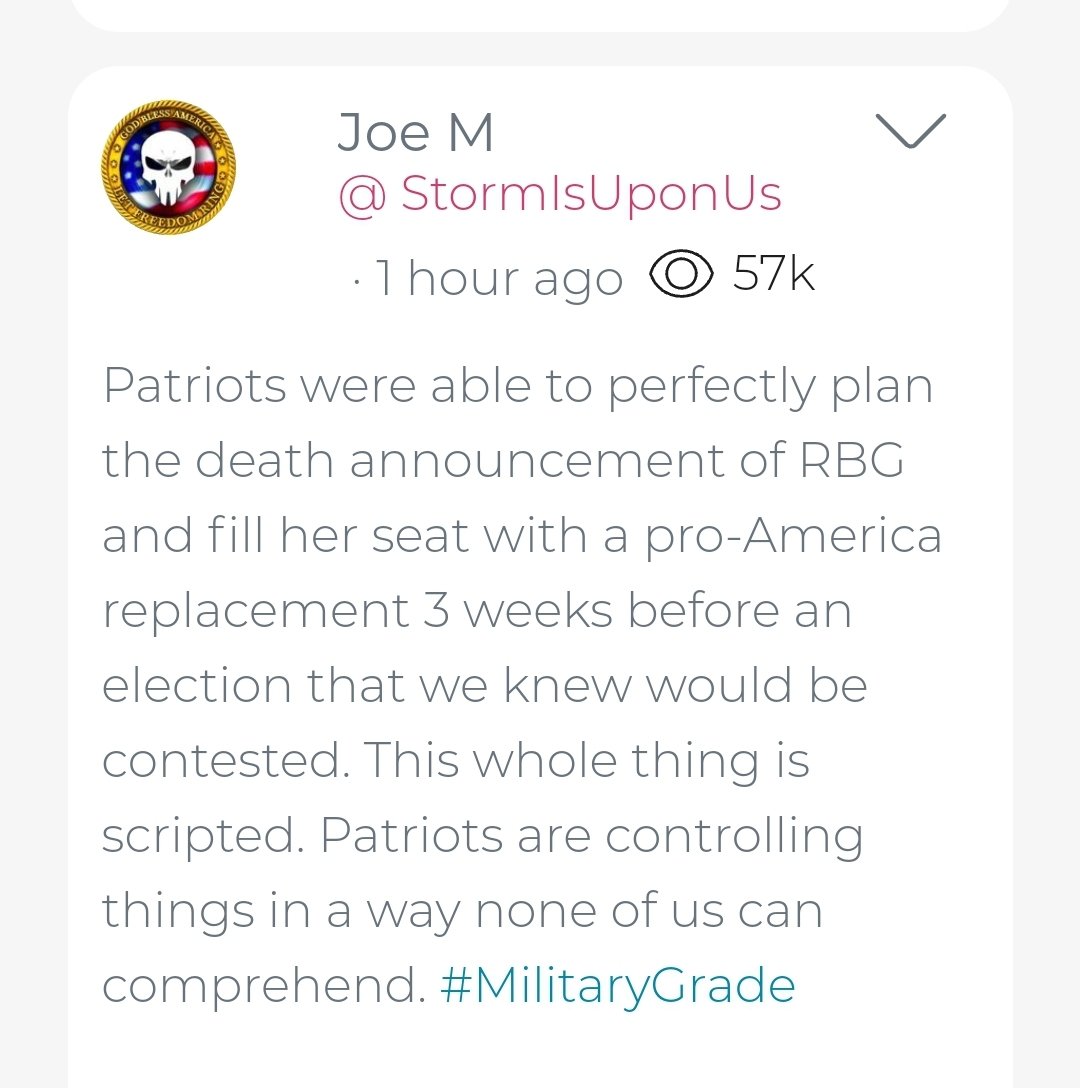 RedPill_Crusade's tweet photo. JoeM on Parler:
So RBG had been 💀 a while IMO (possibly since 2019) & we (WhiteHats) leaked it to fill the seat before election.
Black Hats were going to use her #SCOTUS vote in the election even though she was 💀 Thoughts?
#MilitaryGrade #AboutToGetReal https://t.co/AXmznyBRvo