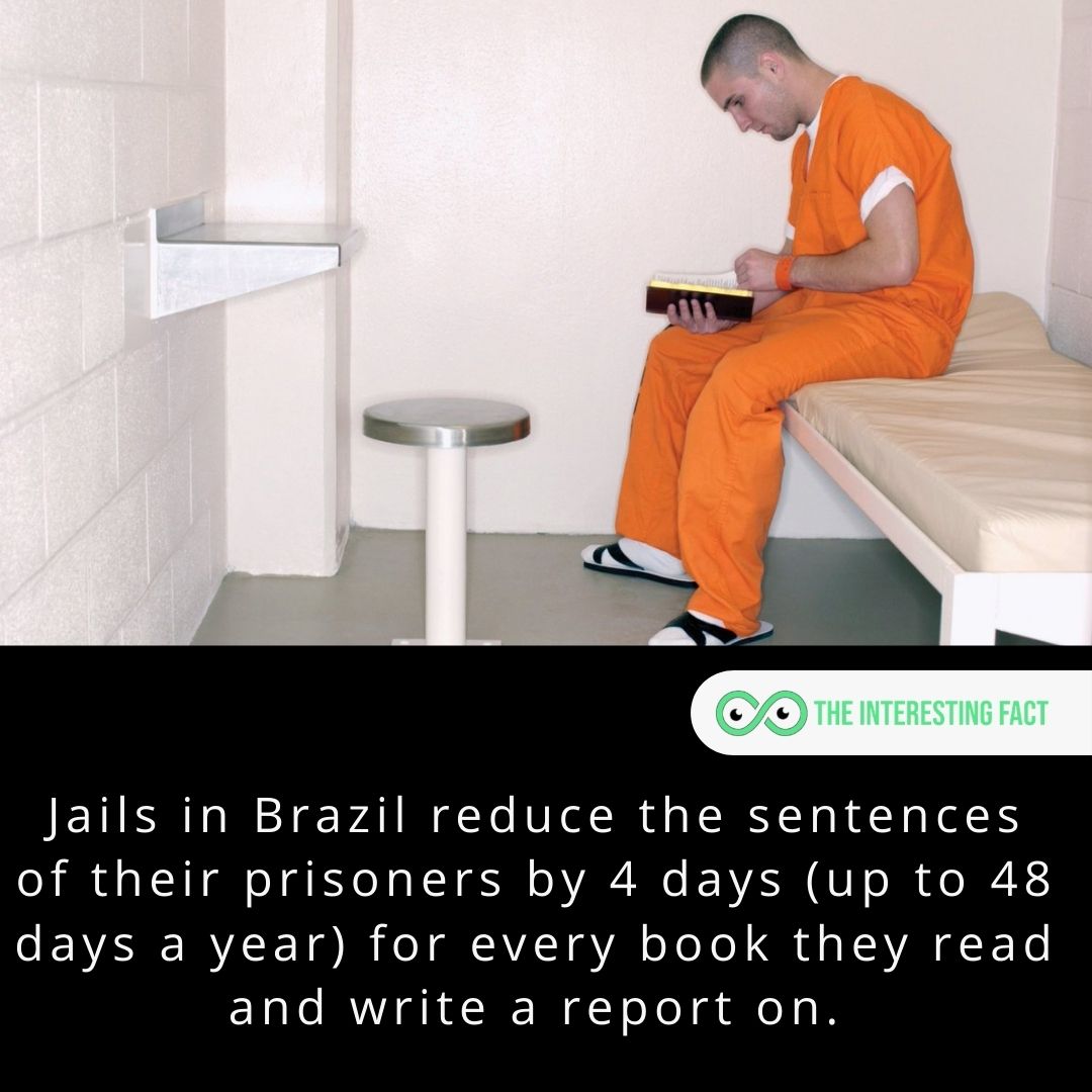 Jails in Brazil reduce the sentences of their prisoners by 4 days (up to 48 days a year) for every book they read and write a report on.

#facts #factsoflife #fact #didyouknow #allfacts #mysteriousfacts #factz #factzoflife #interestingfacts #knowledgeispower #wtffacts