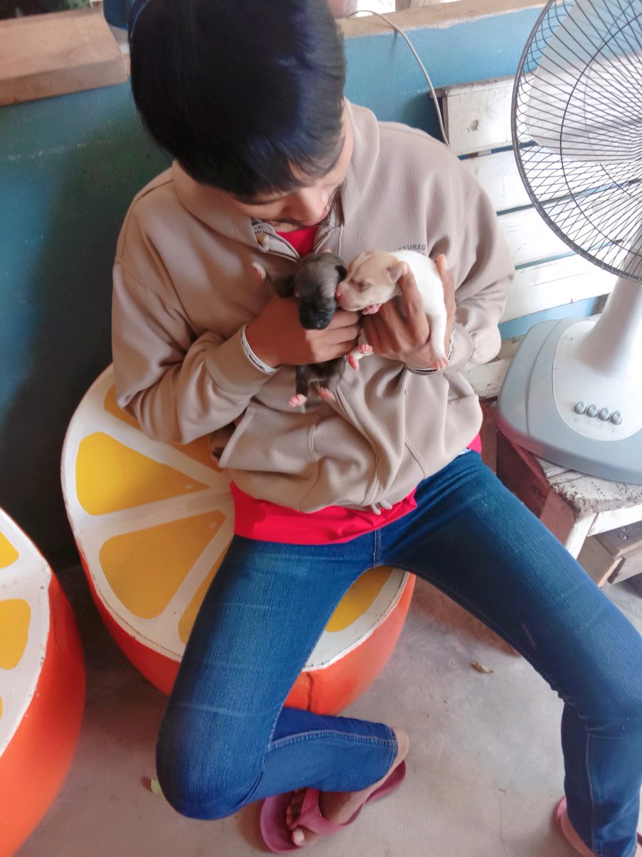 WattanaNum's tweet photo. หมามันยังไม่เคยนอกใจเจ้าของ แล้วคนที่มันมีเจ้าของ แต่นอกใจกันเนี่ย… ? #แคปชั่นหมา #รักหมา #แคปชั่นรักหมา #แคปชั่นอ่อย https://t.co/WUdU4Fqy8c https://t.co/FoTuLGkRYh