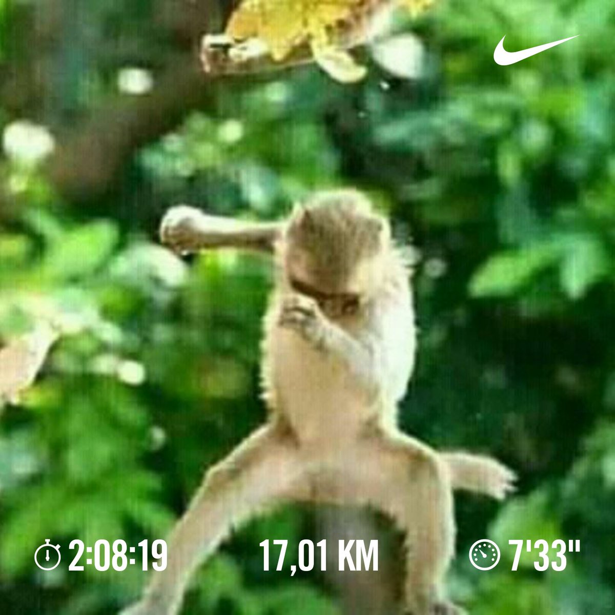 nanambb's tweet photo. What a blessed sunday #90dayswithoutsugar2020 #finishing2020healthy #runwithcaster #irunnovember https://t.co/yT2usqBHic