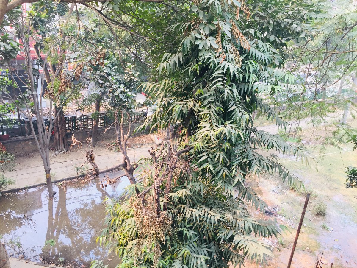 SaintsLegal's tweet photo. Water is synonymous to life, but the way it is being abused it could be a threat to life. The showed way would not only amount to, waste of a natural asset but also provides a space for mosquitoes to breed.
Such actions must be reprimanded. https://t.co/P6RSdxifdk