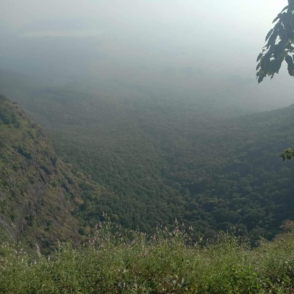 ChiragS56633902's tweet image. Jay ma #Pavaghad mahakali ma   

#pavagadh

#જય_જય_ગરવી_ગુજરાત