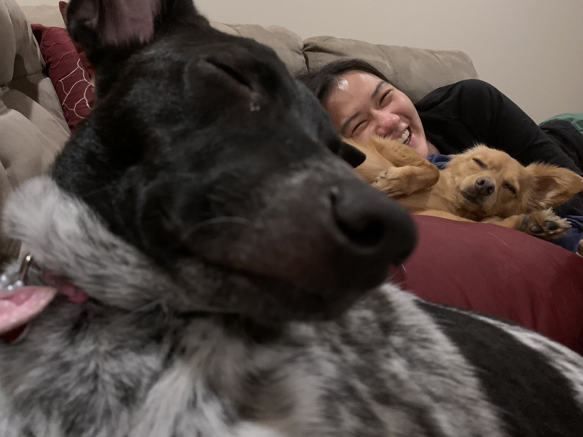 Pups will once again live in the White House. There is hope for this country yet.