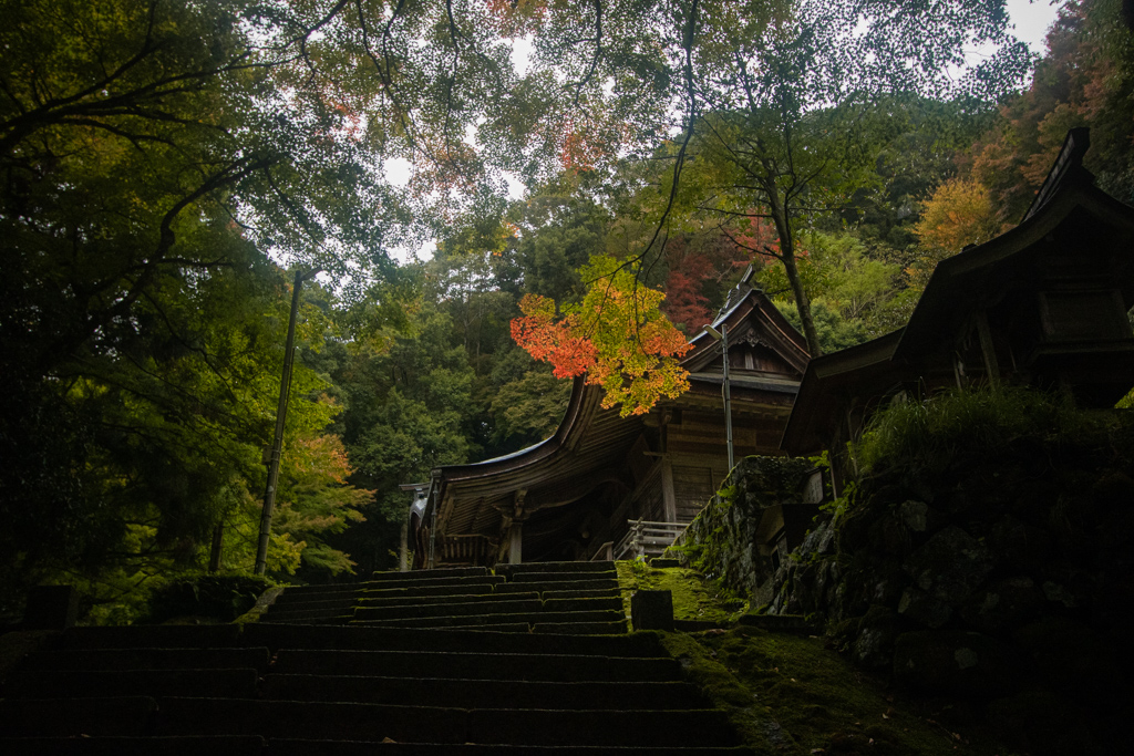 One of them was situated in a dense forest and up a long, mossy staircase. You're greeted by the usual giant stone torii. The place has super old vibes, but the area, including the shrines, are clearly being well-maintained by somebody. #Tottori  #Chizu