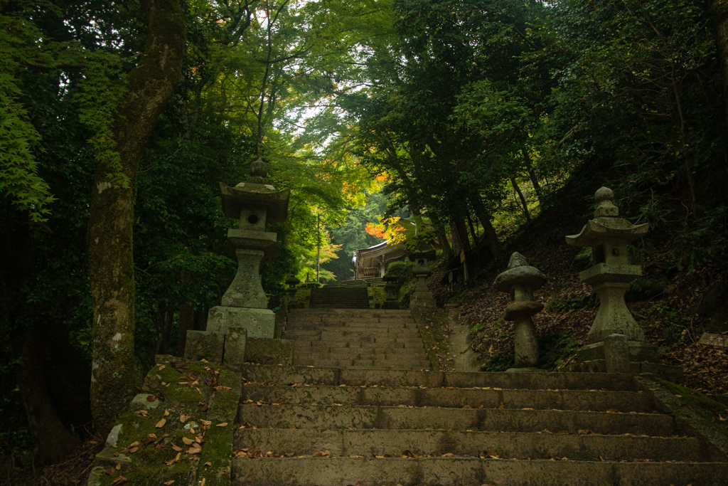 One of them was situated in a dense forest and up a long, mossy staircase. You're greeted by the usual giant stone torii. The place has super old vibes, but the area, including the shrines, are clearly being well-maintained by somebody. #Tottori  #Chizu