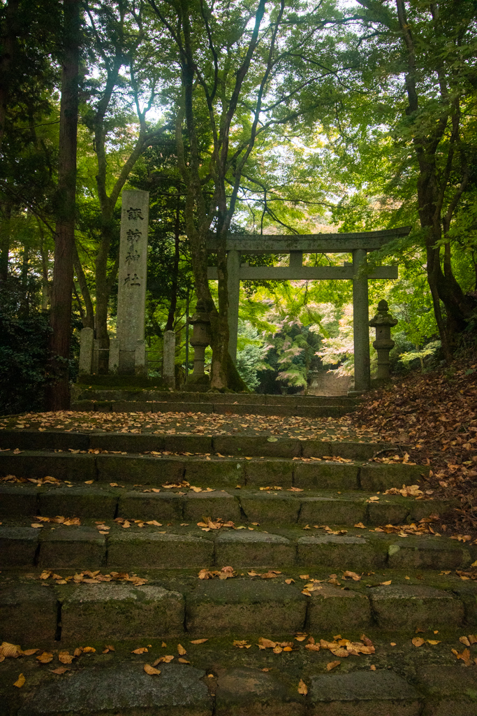 One of them was situated in a dense forest and up a long, mossy staircase. You're greeted by the usual giant stone torii. The place has super old vibes, but the area, including the shrines, are clearly being well-maintained by somebody. #Tottori  #Chizu
