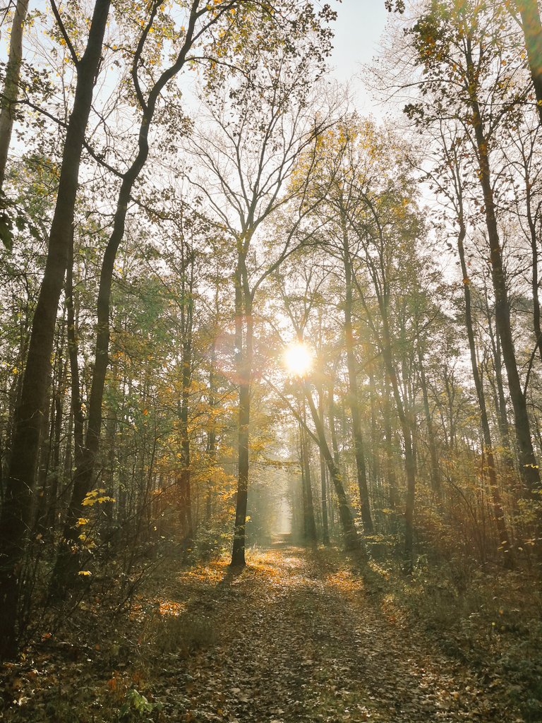 Lovely autumn...go ahead #mindset #NaturePhotography