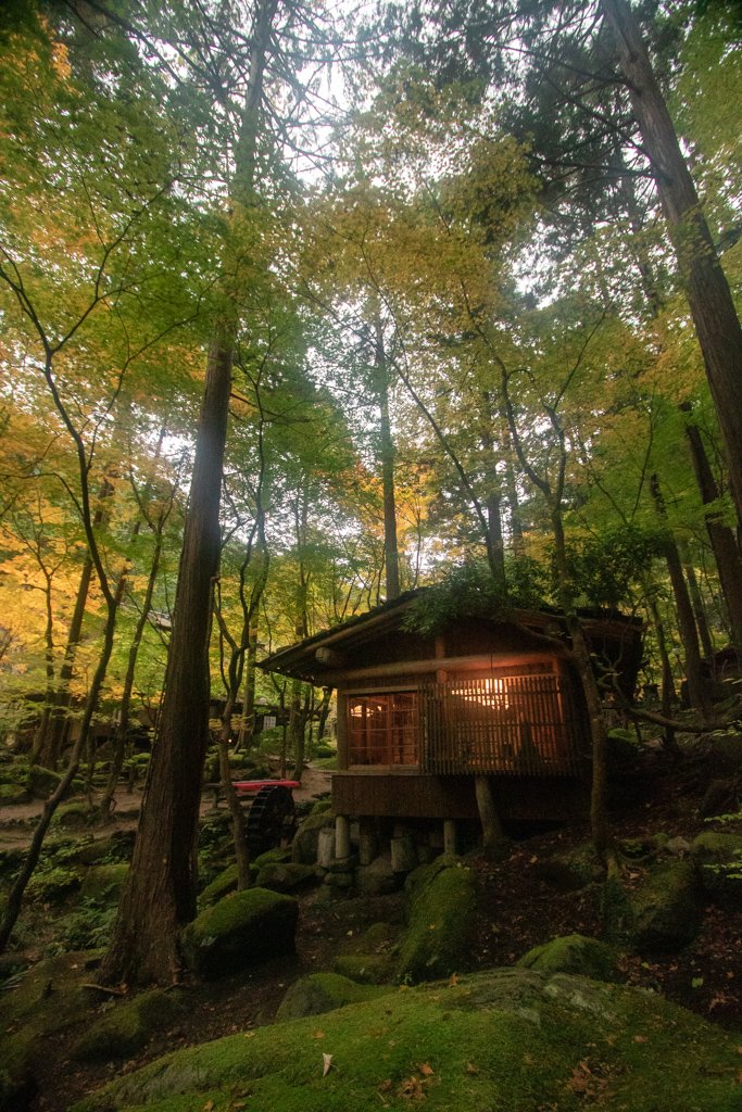 A tiny little hike around till take you to various small buildings, inside which are restaurants. There are various small shrines to visit as well. The random people encountered were also super friendly, which was refreshing.